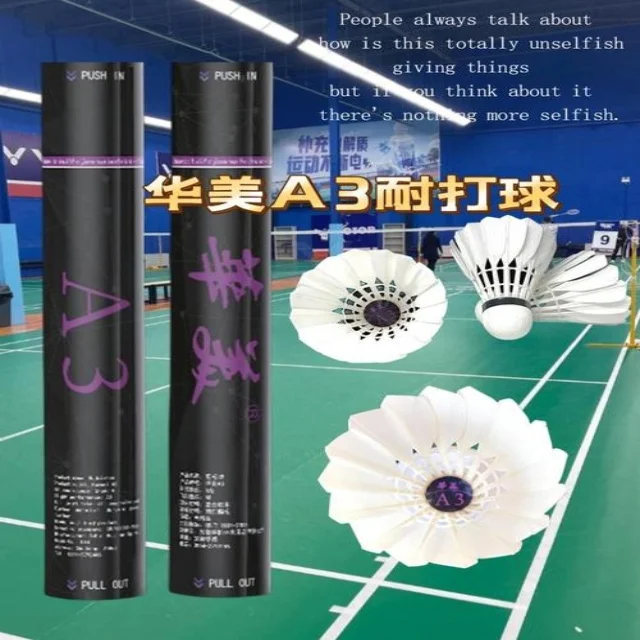足球杯赛焦点对决：第806组阵容全解析